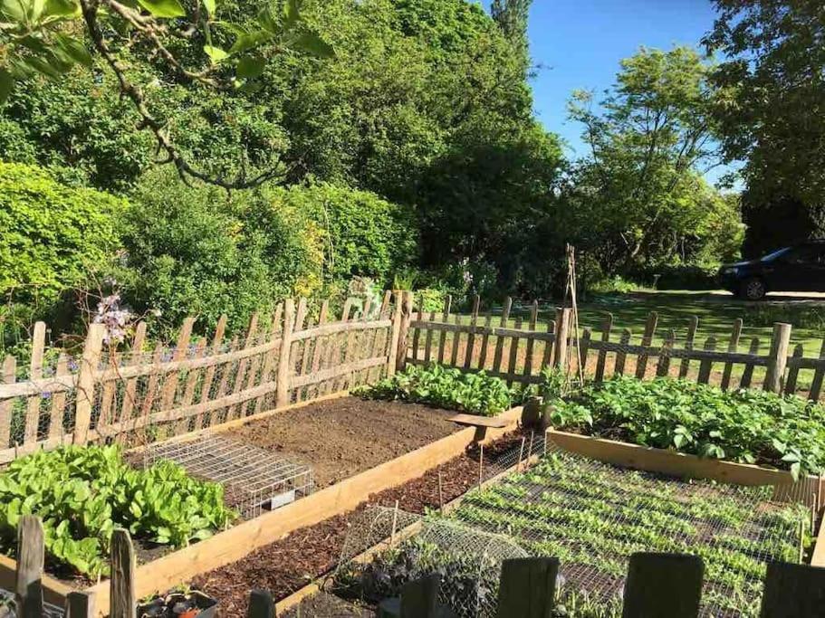 Masons Cottage, An Idyllic Retreat In An Area Of Outstanding Beauty, Close To Blenheim Palace, Oxford & The Cotswolds Stonesfield Екстериор снимка
