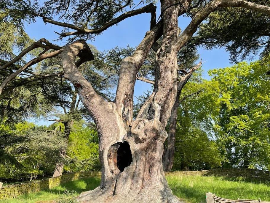 Masons Cottage, An Idyllic Retreat In An Area Of Outstanding Beauty, Close To Blenheim Palace, Oxford & The Cotswolds Stonesfield Екстериор снимка